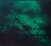 ogrody ca 40 x 50 2015