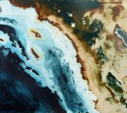 Sonoran Desert 100 x 135 cm 2008